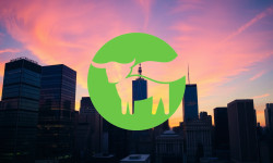 Beitragsbild zu Beyond Meat Aktie: Zwiespältige Entwicklungen?