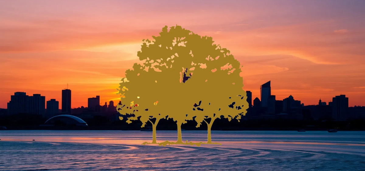 Beitragsbild zu Canopy Growth Aktie: Innovationsgewinne erzielen!