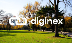 Beitragsbild zu Diginex Aktie: Chefwechsel nach Absturz