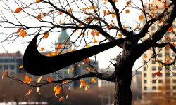 Beitragsbild zu Nike Aktie: Behörden ermitteln