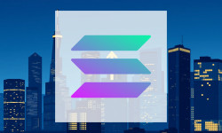 Beitragsbild zu Solana: Meme-Coins raus, Institutionen rein!