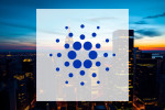 Cardano: Wale werden aktiv