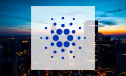 Beitragsbild zu Cardano: Wale werden aktiv