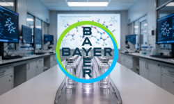 Beitragsbild zu Bayer Aktie: Fokus Pipeline