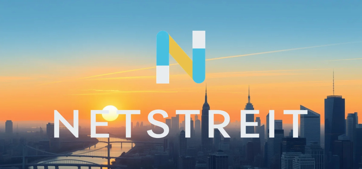 Beitragsbild zu Netstreit Aktie: Die große Wette gegen den Einzelhandel