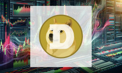 Beitragsbild zu Dogecoin: Zwischen Absturz und Wandel