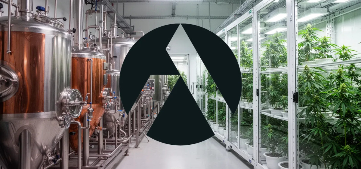 Beitragsbild zu Tilray Aktie: Gleichbleibende Nachrichtenlage