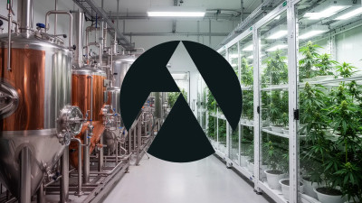 Beitragsbild zu Tilray Aktie: Gleichbleibende Nachrichtenlage