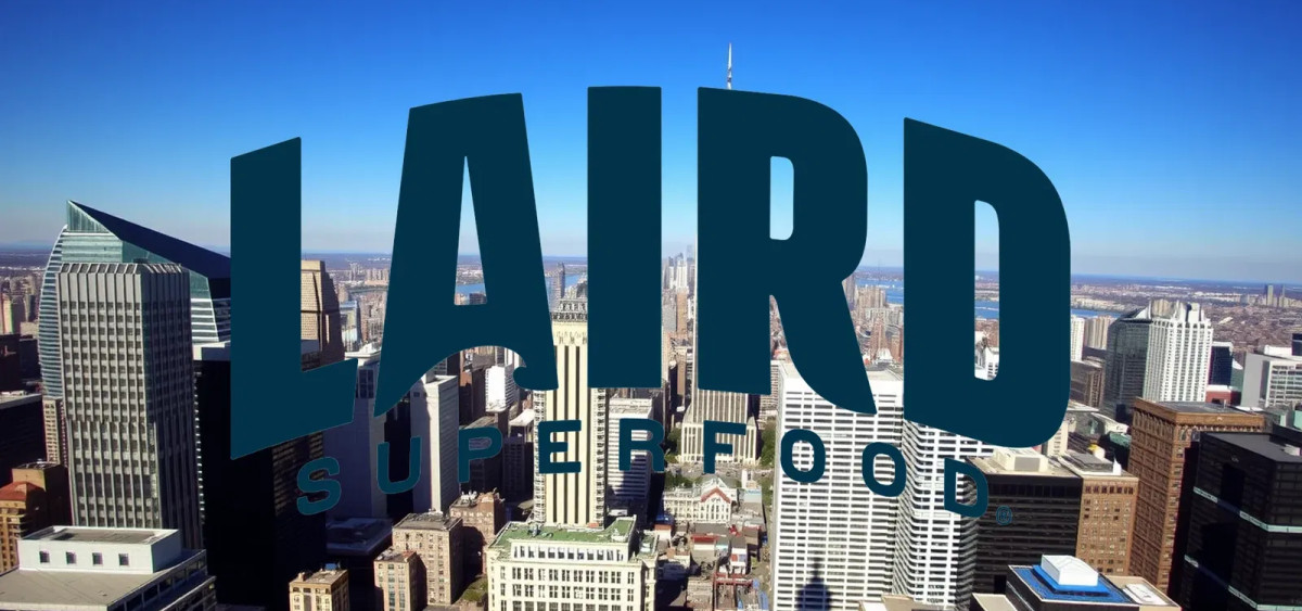 Beitragsbild zu L1 Long Short Aktie: Strategie-Check