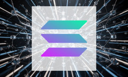 Beitragsbild zu Solana: Institutionen im Fokus