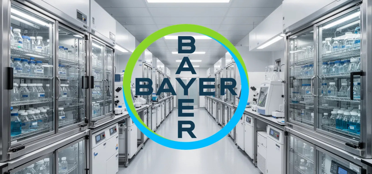 Beitragsbild zu Bayer Aktie: Neuer Vergleich