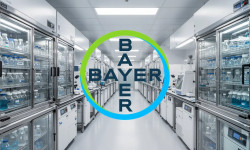 Beitragsbild zu Bayer Aktie: Neuer Vergleich