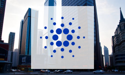 Beitragsbild zu Cardano: Wachstumsschub begeistert!