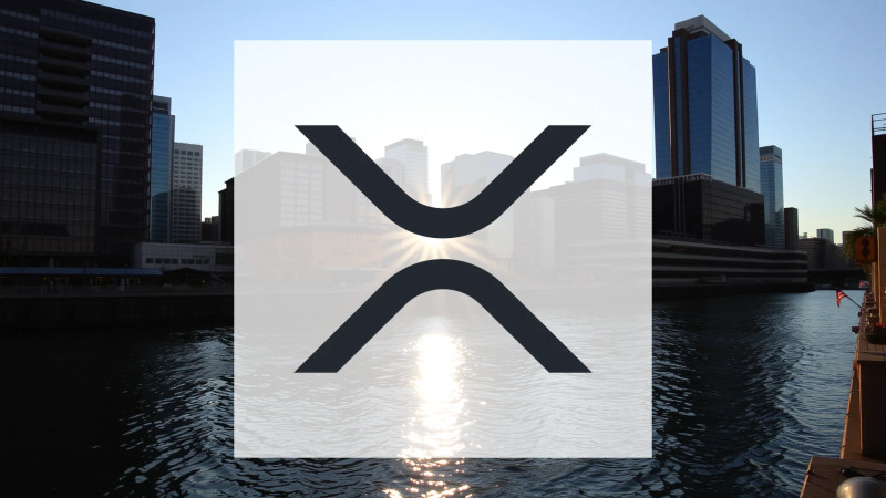 Beitragsbild zu XRP: Institutionen gegen Wale