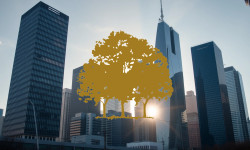 Beitragsbild zu Canopy Growth Aktie: Niedrige Erwartungen?