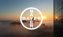 Beitragsbild zu Bayer Aktie: Juristischer Super-GAU!