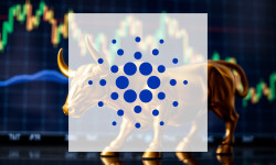 Beitragsbild zu Cardano: Jahresende im Minus