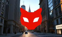 Beitragsbild zu Red Cat Aktie: Offenstehende Fragen!