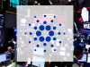 Beitragsbild zu Cardano: Neubeginn nach Absturz?