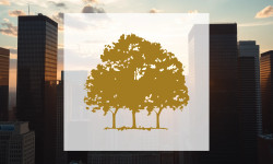 Beitragsbild zu Canopy Growth: Drei Hebel für die Trendwende