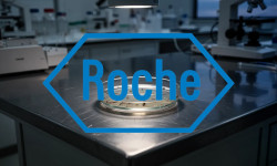Beitragsbild zu Roche Aktie: Studien-Flop belastet