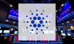 Beitragsbild zu Cardano: Erfreuliche Geschäftszahlen!