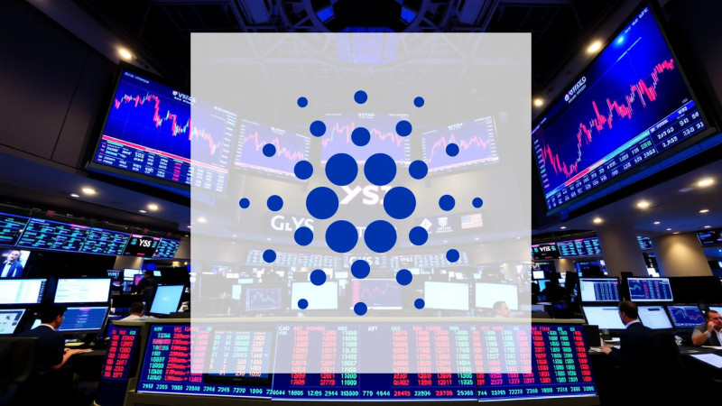 Beitragsbild zu Cardano: FBI schaltet sich ein!