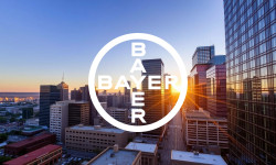 Beitragsbild zu Bayer Aktie: Neustart vor Zahlen-Showdown