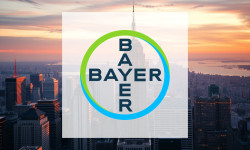 Beitragsbild zu Bayer Aktie: Perfekte Bedingungen!