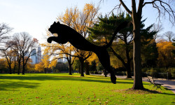 Beitragsbild zu Puma Aktie: Reaktionen abwarten