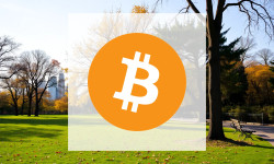 Beitragsbild zu Bitcoin: Panik trifft Gier!