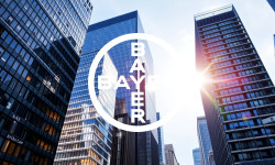 Beitragsbild zu Bayer-Aktie: Wenn man das gewusst hätte!
