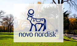 Beitragsbild zu Novo Nordisk Aktie: Wachsende Zweifel!