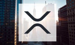 Beitragsbild zu XRP: ETF-Explosion – und jetzt?