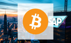 Beitragsbild zu Bitcoin: Panik-Indikator schlägt aus!