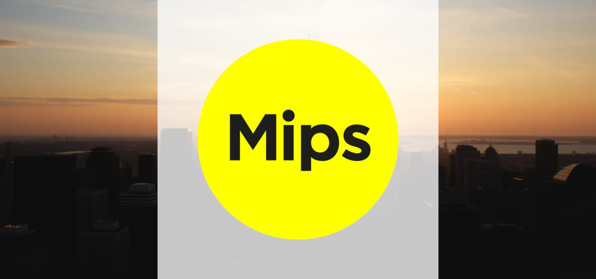 Beitragsbild zu MIPS AB Aktie: Schwierige Gezeiten?