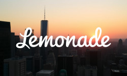 Beitragsbild zu Lemonade Aktie: Unaufgeregte Einordnungen