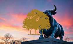 Beitragsbild zu Canopy Growth Aktie: Rückgang unausweichlich?