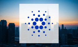 Beitragsbild zu Cardano: Wale sammeln ein