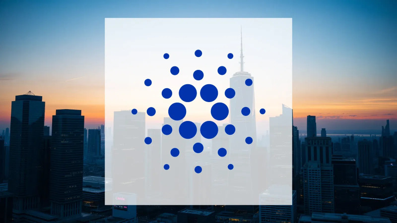 Beitragsbild zu Cardano: Wale sammeln ein