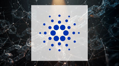 Beitragsbild zu Cardano: Neue Investitionspläne!