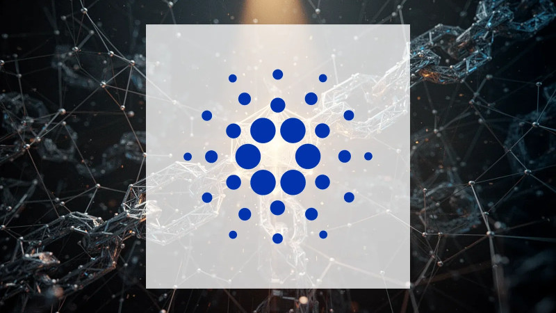 Beitragsbild zu Cardano: Neue Investitionspläne!