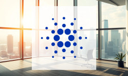 Beitragsbild zu Cardano: Schnell informiert!