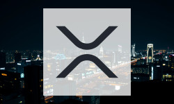 Beitragsbild zu XRP: Ergebnisse vorausblickend