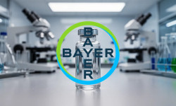 Beitragsbild zu Bayer Aktie: Studiendaten stützen