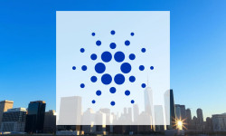 Beitragsbild zu Cardano: Vorentscheidung naht