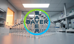 Beitragsbild zu Bayer Aktie: Fünfter Treffer in Folge