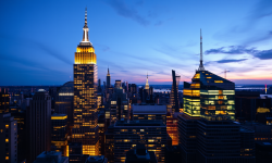 Beitragsbild zu Tesla-Schock, Quantum-Poker & SAP-Dilemma: Wenn Hoffnung auf Realität trifft