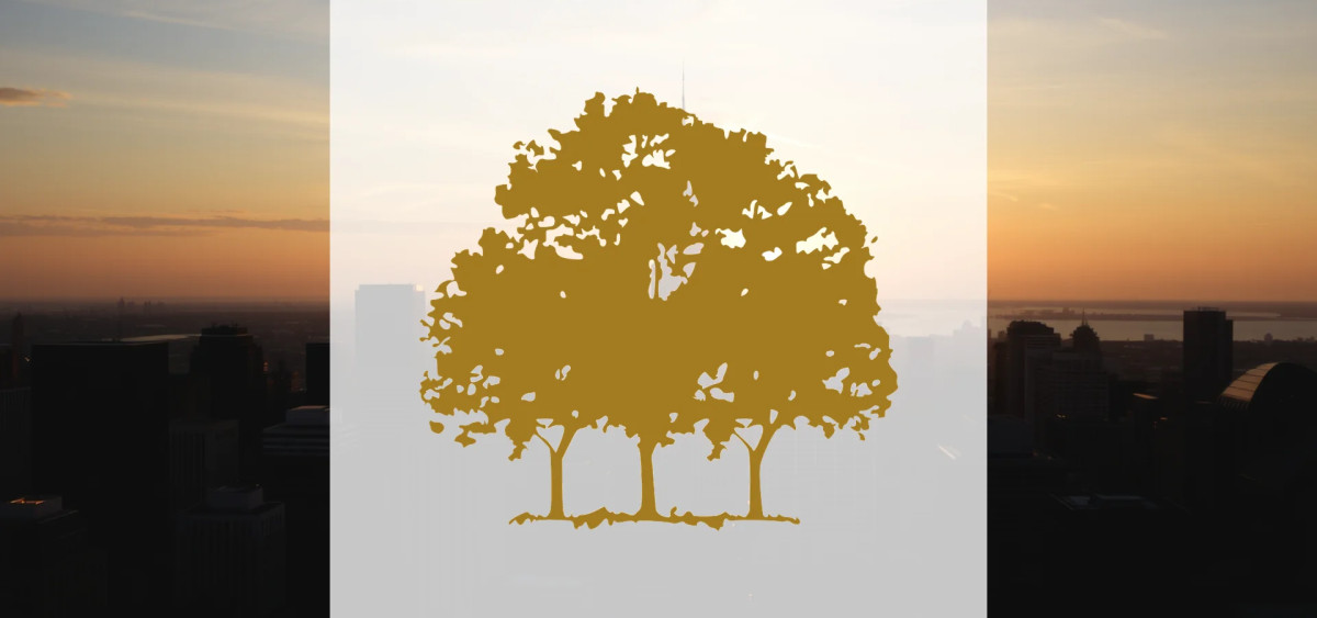 Beitragsbild zu Canopy Growth Aktie: Gewinnzone voraus!