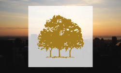 Beitragsbild zu Canopy Growth Aktie: Gewinnzone voraus!